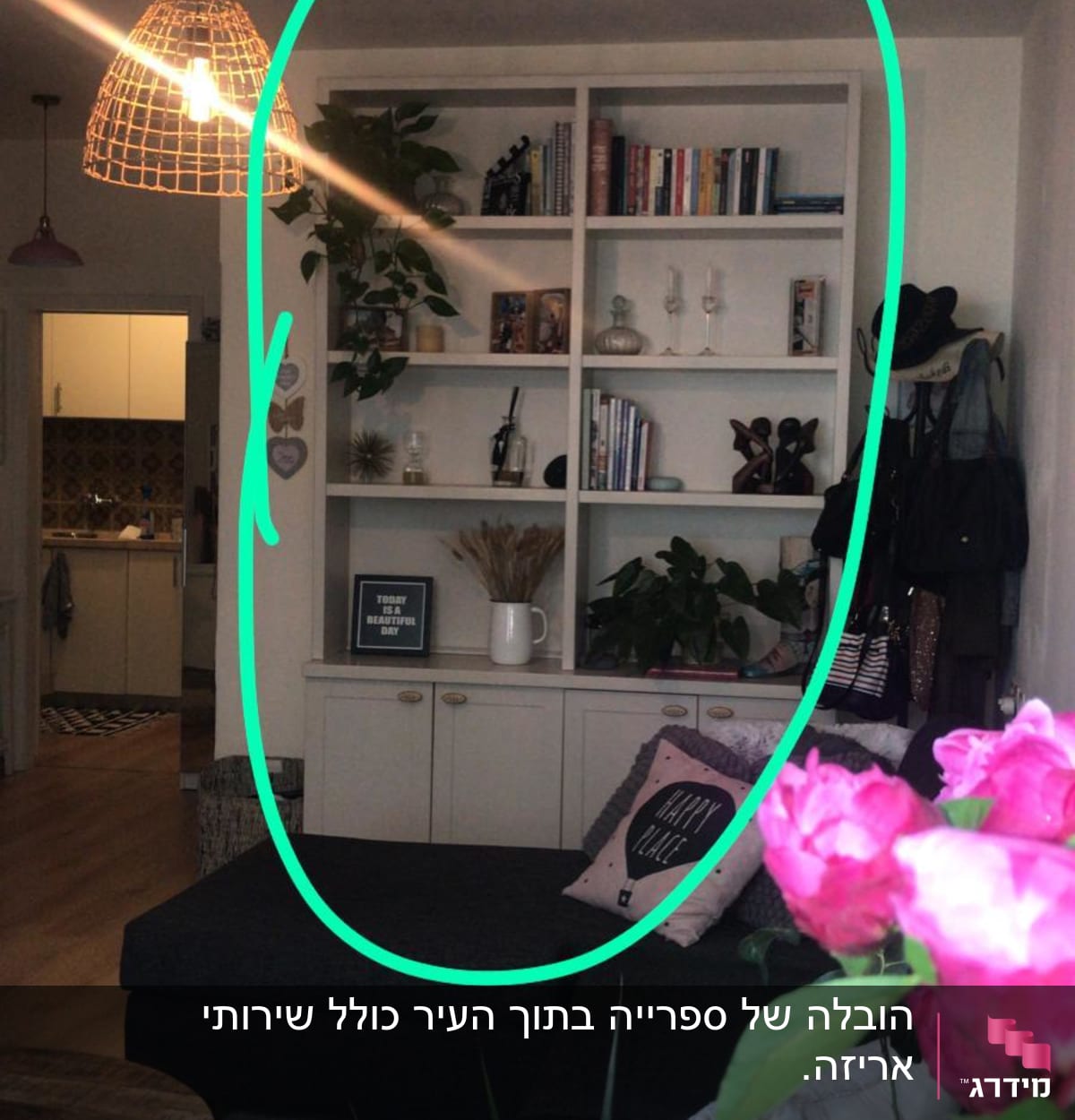 מדף עם ספרים וצמחים, מנורה תלויה